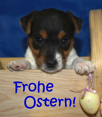 Frohe Ostern!