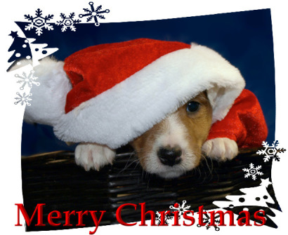 Merry Christmas 2012