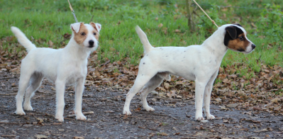 Ninette Ole IMG_3290