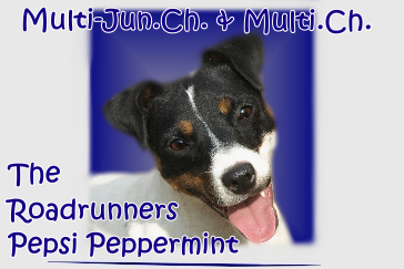 Pepsi , mehr folgt demn�chst