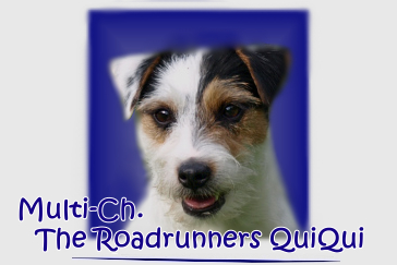 Qui Qui, mehr folgt demn�chst