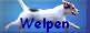 Welpen