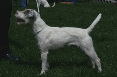 Gulabins Lloyd IMG_7667