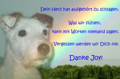 Danke Joy