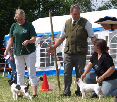 Beste Junghunde Fred & Pirelli