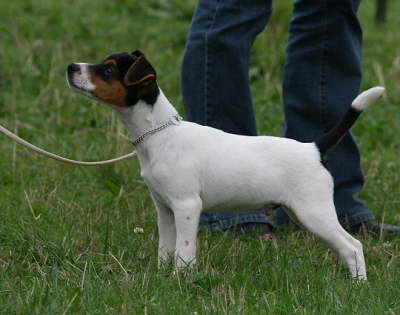 The RR Campino IMG_9776